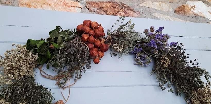 Amfitriti Serifos Livadi  외부 사진